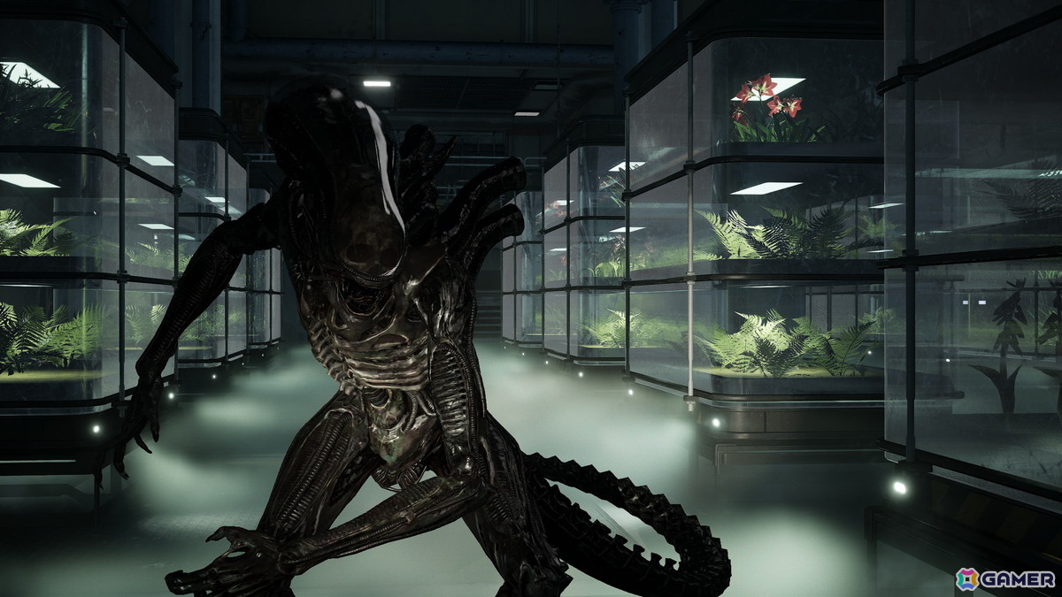 エイリアンを舞台にした協力型三人称サバイバルシューターの続編「Aliens: Fireteam Elite 2」が今夏PS5/Xbox Series X/S/PCで発売！の画像12