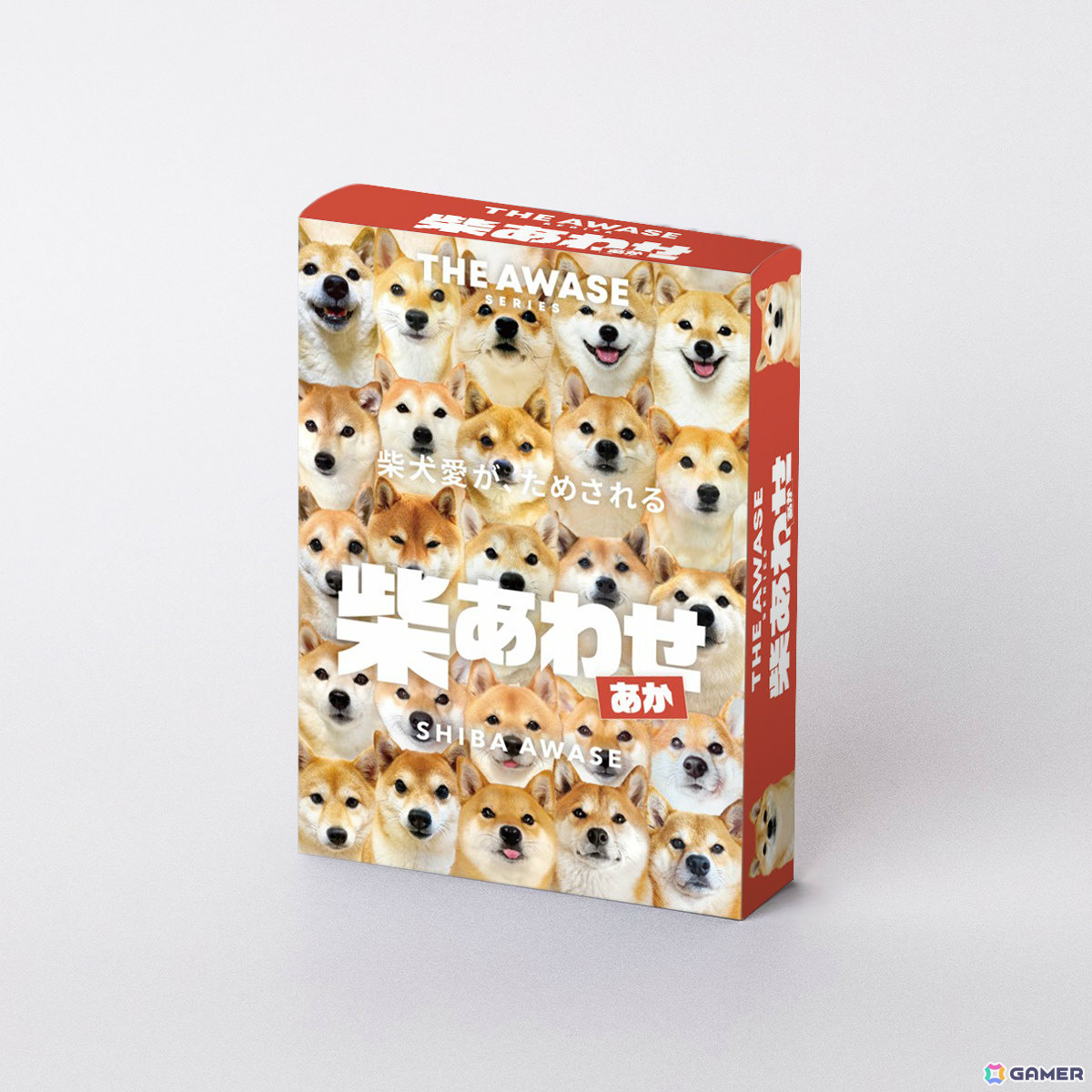 柴犬愛が試される神経衰弱ゲーム「柴あわせ-あか-」「柴あわせ-くろ-」の先行予約販売が開始！SNSで活躍する人気インフルエンサー犬が多数参加の画像6