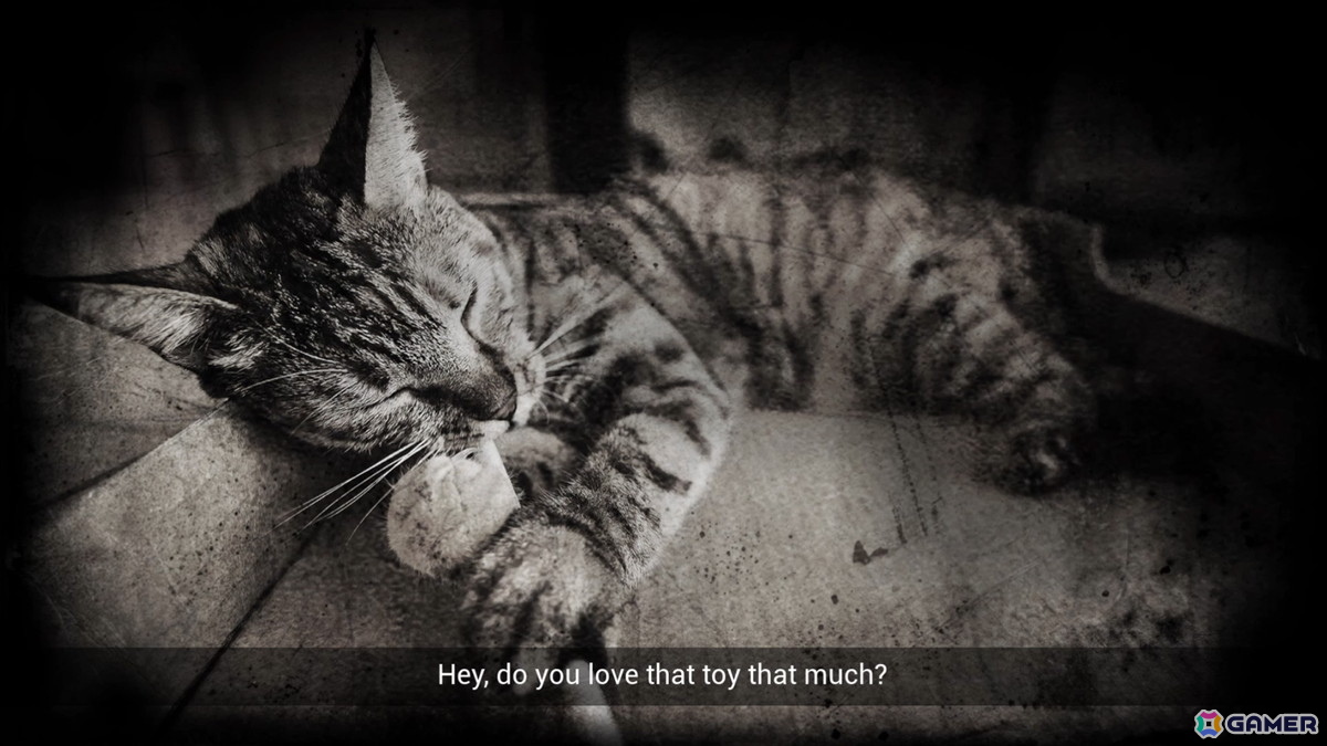 猫視点ホラーADV「Meowmories」の体験版が近日配信！猫となっておぞましい悪夢からの脱出を目指すの画像