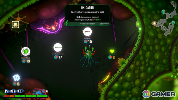 ローグライクシューティング「Pathogenic」が7月16日にSteamでリリース！プレイヤーが病原体となって宿主の免疫システムと熾烈な戦いを繰り返すの画像