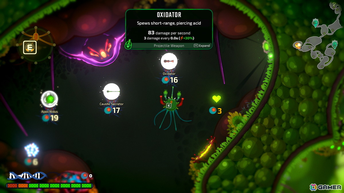 ローグライクシューティング「Pathogenic」が7月16日にSteamでリリース！プレイヤーが病原体となって宿主の免疫システムと熾烈な戦いを繰り返すの画像17