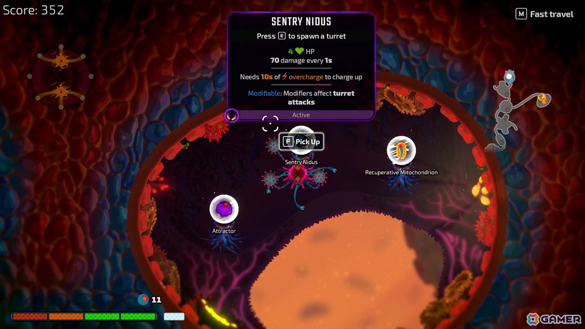 ローグライクシューティング「Pathogenic」が7月16日にSteamでリリース！プレイヤーが病原体となって宿主の免疫システムと熾烈な戦いを繰り返すの画像18