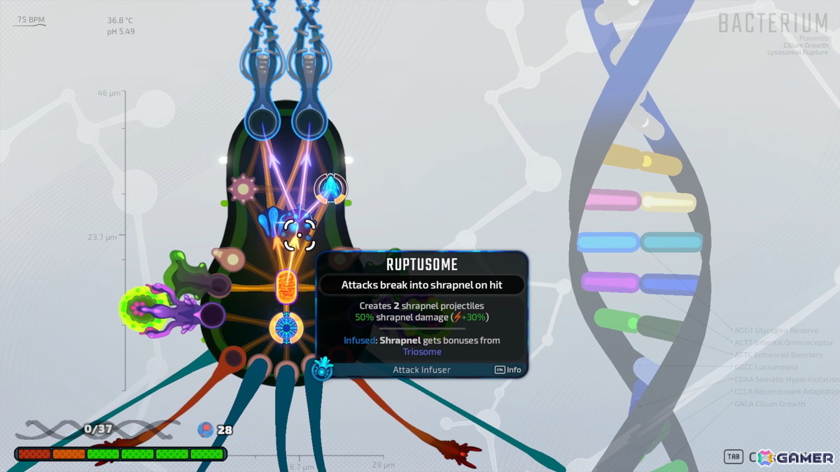 ローグライクシューティング「Pathogenic」が7月16日にSteamでリリース！プレイヤーが病原体となって宿主の免疫システムと熾烈な戦いを繰り返すの画像3