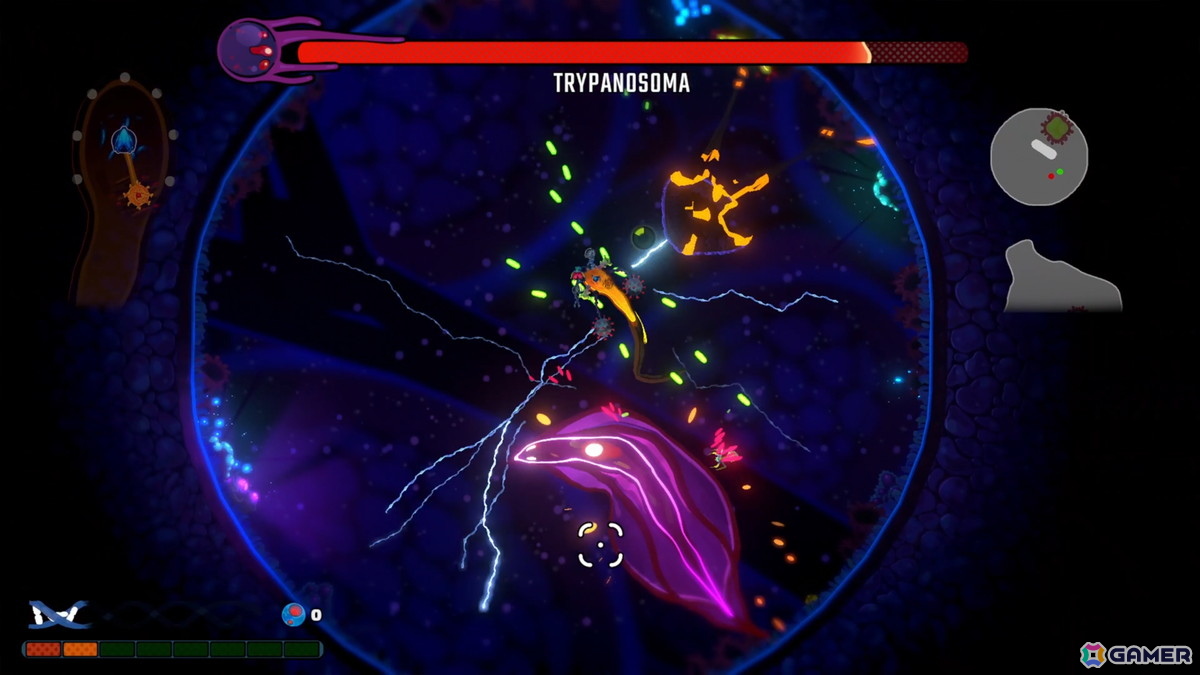 ローグライクシューティング「Pathogenic」が7月16日にSteamでリリース！プレイヤーが病原体となって宿主の免疫システムと熾烈な戦いを繰り返すの画像8