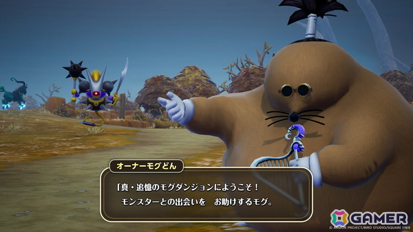「ドラゴンクエストモンスターズ4　枯れ木の国のビアンカ・フローラ」は12月3日に発売！追加DLCや特典情報も公開の画像13