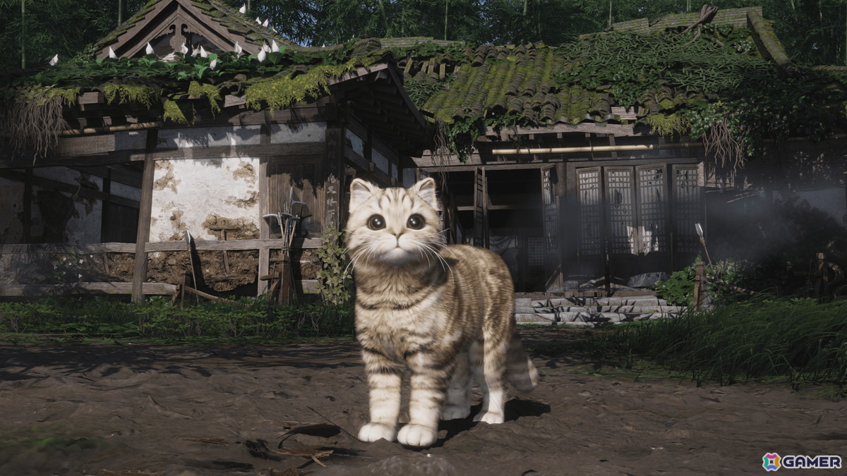 「風燕伝：Where Winds Meet」でハウジングを楽しめる家業システムが正式実装！Ver.1.8アップデートが6月25日配信の画像4
