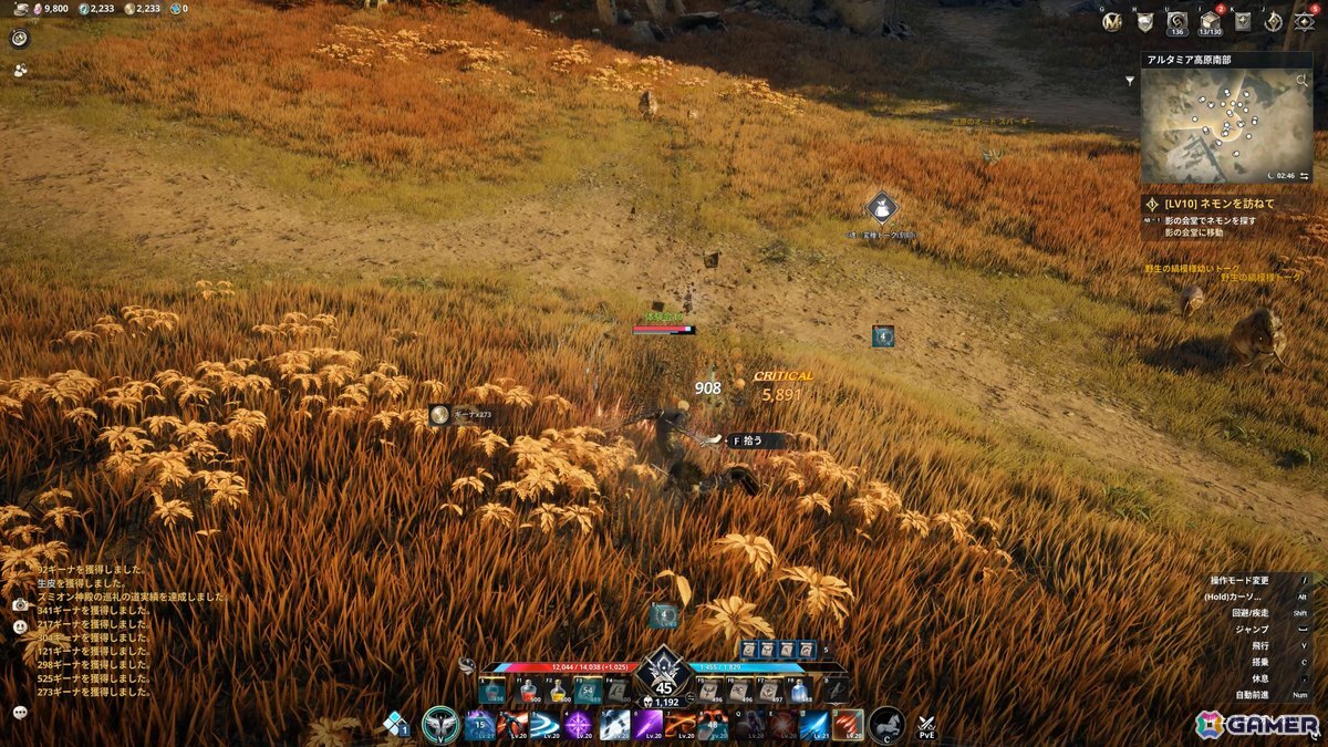 前作の36倍の広さを翼で駆ける!「AION2」体験会で目撃した圧倒的なオープンワールドと“1日溶ける”究極のキャラクリの画像