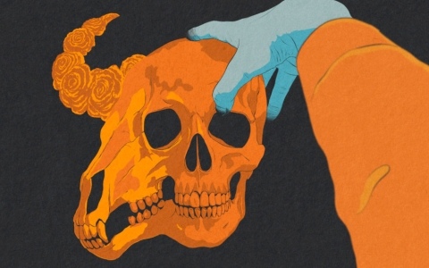 死者たちの頭蓋骨と語り合い生前に失った名を探し出すナラティブADV「I SHALL NAME THE DEAD ~死者に名を~」が2027年初頭に発売