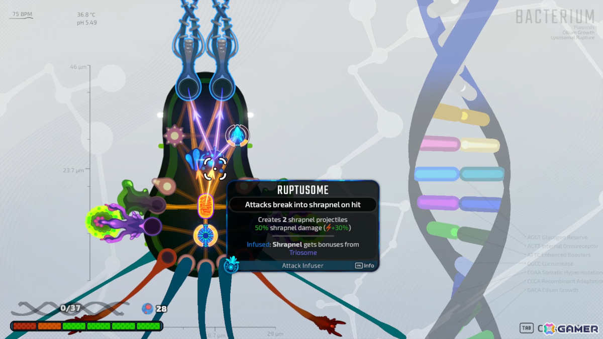 病原体となって人体を征服するローグライクシューティング「Pathogenic」がリリース！免疫システムとの戦いを乗り越え究極の病原体を目指せの画像3