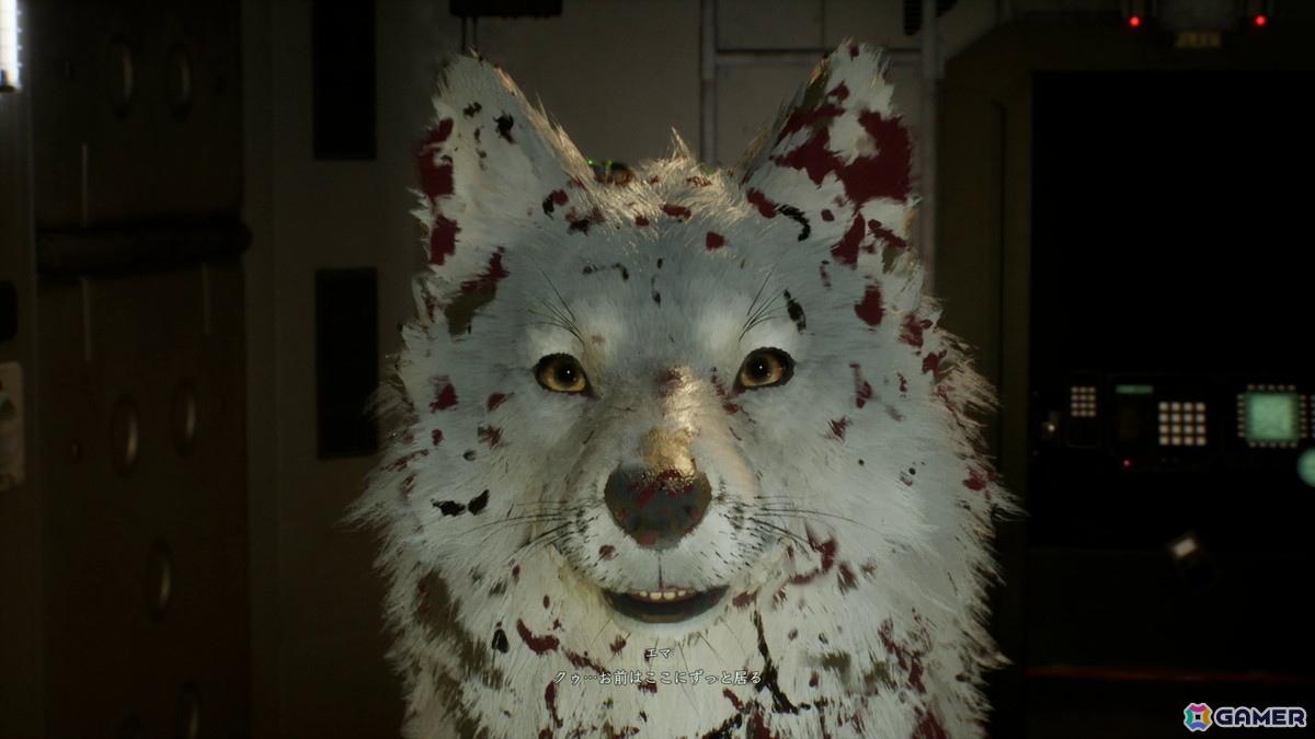 「Beast of Reincarnation」を3時間プレイ:ゲームフリーク渾身の完全新作は“AAA級タイトルにあらず”、焦点を絞りエッジの効いた作品世界・ゲームプレイを提供の画像