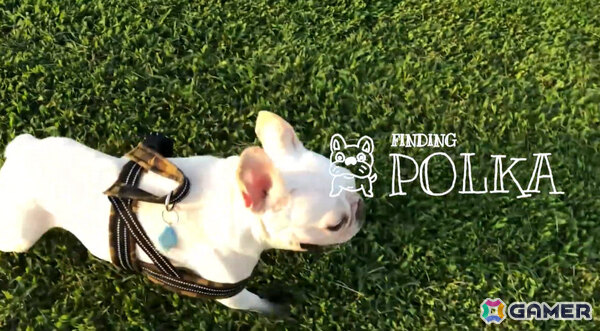 犬をさがすインタラクティブADV「Finding Polka」の発売日が8月12日に決定！「MotionRec」のshoma氏がゲストクリエイターとして参加の画像5