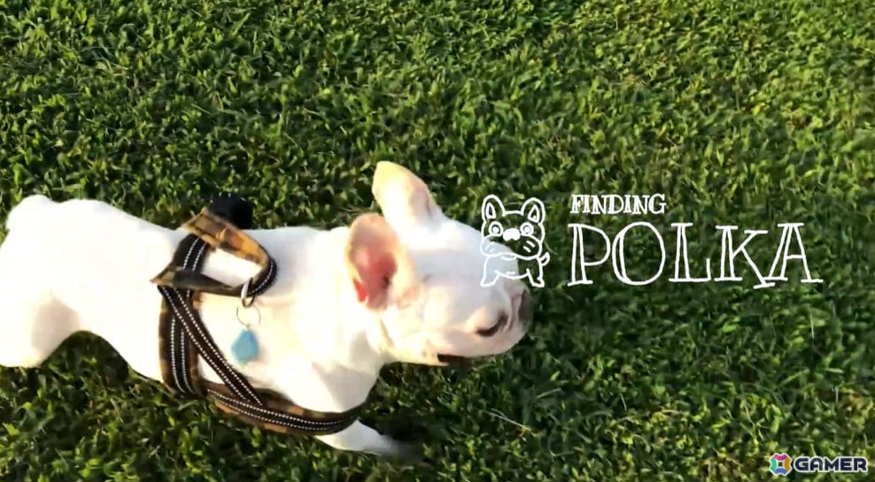 犬をさがすインタラクティブADV「Finding Polka」の発売日が8月12日に決定!「MotionRec」のshoma氏がゲストクリエイターとして参加の画像
