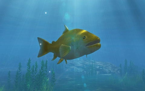 「ぼくと釣り日記」100種類以上の魚やバリエーション豊富な釣り具を紹介するPVが公開!
