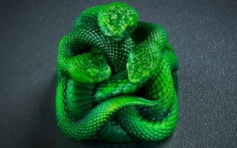 Razer初のArtisan Keycap「Triple-Headed Snake Edition」が発表―象徴的な三つ首の蛇をハンドフィニッシュで仕上げたコレクターズアイテムとしての逸品