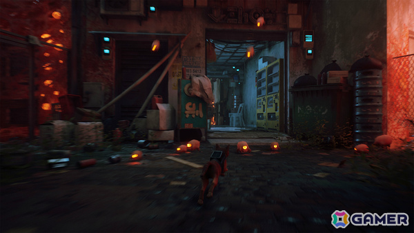 「Stray」マウス操作対応のSwitch 2パッケージ版が11月12日に発売!ゲーム内言語の解読を楽しめるカードが限定封入特典にの画像