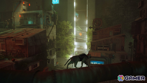 「Stray」マウス操作対応のSwitch 2パッケージ版が11月12日に発売!ゲーム内言語の解読を楽しめるカードが限定封入特典にの画像