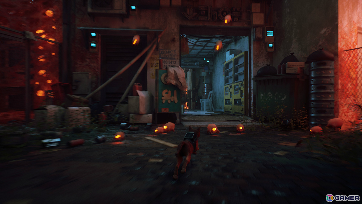「Stray」マウス操作対応のSwitch 2パッケージ版が11月12日に発売！ゲーム内言語の解読を楽しめるカードが限定封入特典にの画像3