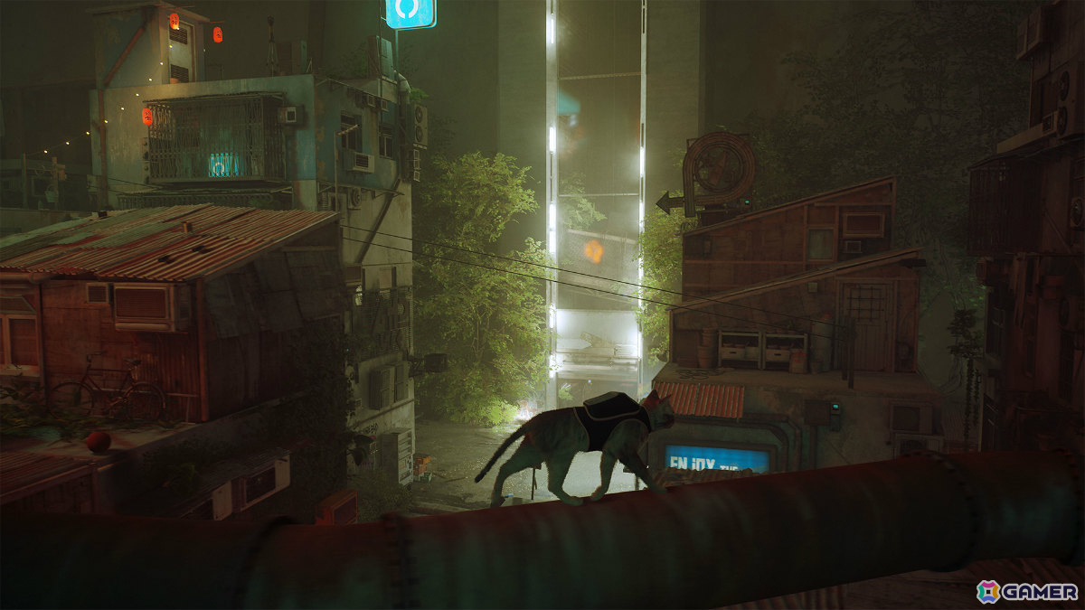 「Stray」マウス操作対応のSwitch 2パッケージ版が11月12日に発売！ゲーム内言語の解読を楽しめるカードが限定封入特典にの画像8