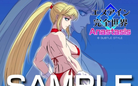 「エヌアイン完全世界 Anastasis」公式全国大会「第十次電光大戦」全予選が終了!本戦は8月29日・30日に開催