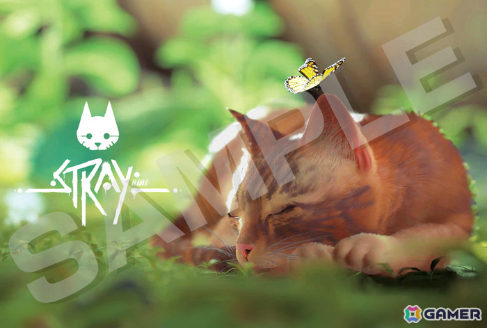 Stray:ポストカード