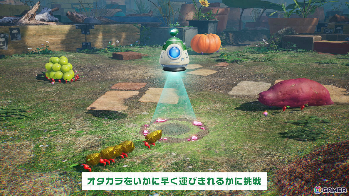 「ピクミン4」Switch 2版が11月12日に発売!マイク機能を使ってオッチンに声で指示を出せるの画像