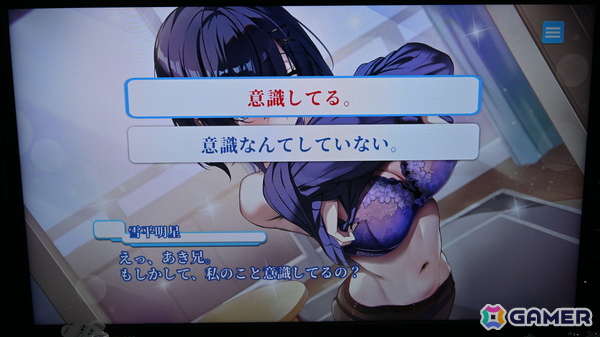 工画堂スタジオが「Sugar Lies」「ネオスフィア：レガシー」を試遊出展！プレイするとステッカーなどがもらえる【TGS2026】の画像8
