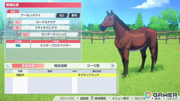 最高のサラブレッドを目指す競走馬育成SLG「ダービースタリオン2」がSwitch 2で発売!競馬雑誌「サラブレ」責任編集によるガイド冊子も公式サイトにて公開の画像