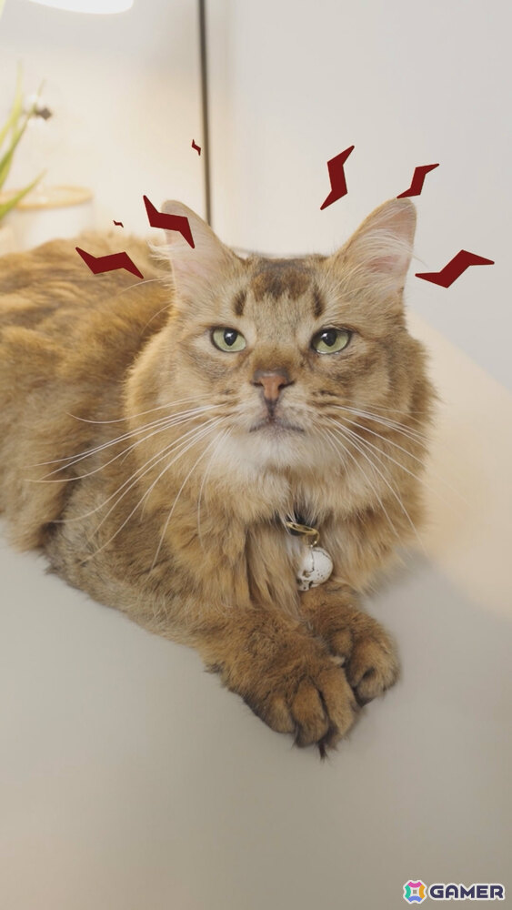 「デモンズナイトフィーバー」可愛い猫(邪神)が悪戯やり放題!?全6種のWebショートCMが順次公開の画像