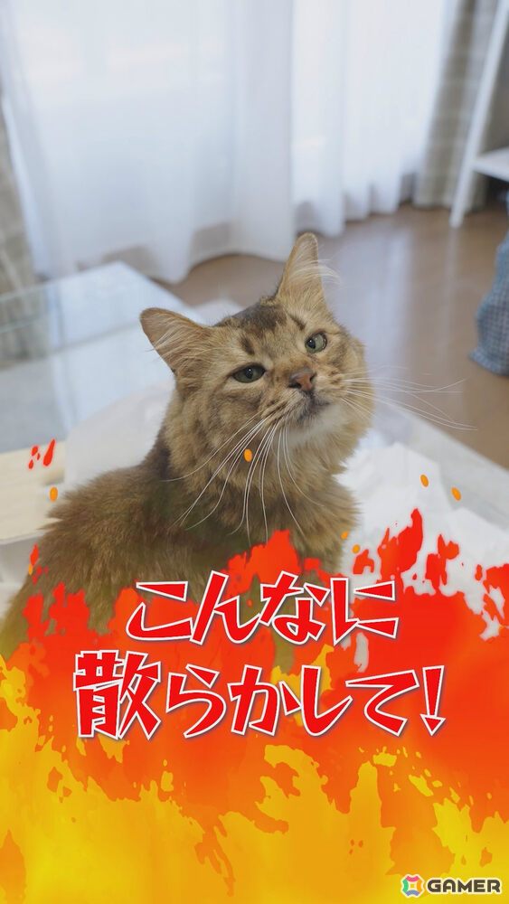 「デモンズナイトフィーバー」可愛い猫(邪神)が悪戯やり放題!?全6種のWebショートCMが順次公開の画像
