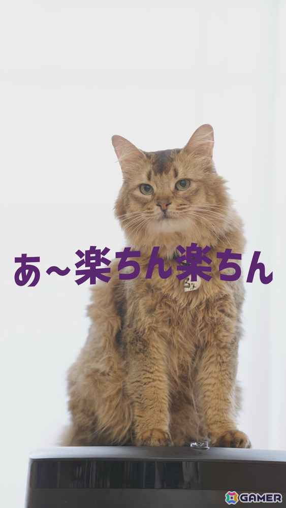 「デモンズナイトフィーバー」可愛い猫(邪神)が悪戯やり放題!?全6種のWebショートCMが順次公開の画像