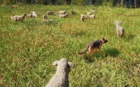 中世の羊飼いとなるシミュレーションゲーム「Medieval Shepherd」が発表！素材を生産・販売しながら自分の群れと生活を少しずつ成長させていく