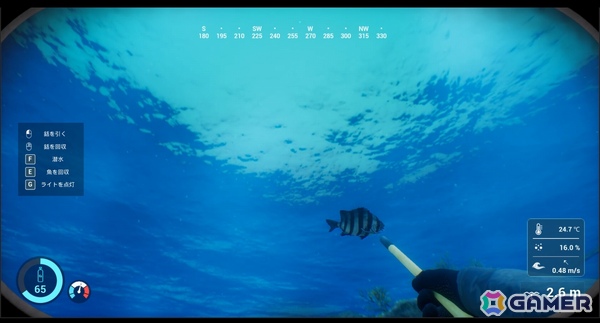 銛一本で魚を突く一人称視点の素潜り漁シミュレーション「SpearDive」デモ版が公開!魚の習性を観察してそれぞれに適した方法で狙おうの画像