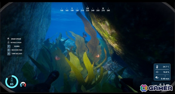銛一本で魚を突く一人称視点の素潜り漁シミュレーション「SpearDive」デモ版が公開!魚の習性を観察してそれぞれに適した方法で狙おうの画像