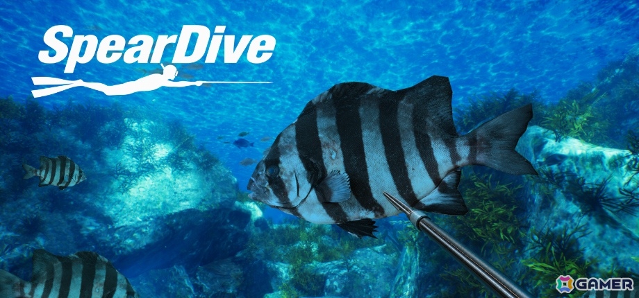銛一本で魚を突く一人称視点の素潜り漁シミュレーション「SpearDive」デモ版が公開!魚の習性を観察してそれぞれに適した方法で狙おうの画像