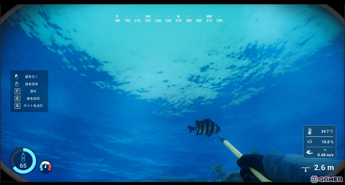 銛一本で魚を突く一人称視点の素潜り漁シミュレーション「SpearDive」デモ版が公開！魚の習性を観察してそれぞれに適した方法で狙おうの画像2