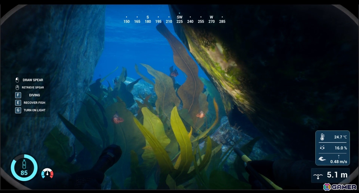銛一本で魚を突く一人称視点の素潜り漁シミュレーション「SpearDive」デモ版が公開！魚の習性を観察してそれぞれに適した方法で狙おうの画像3