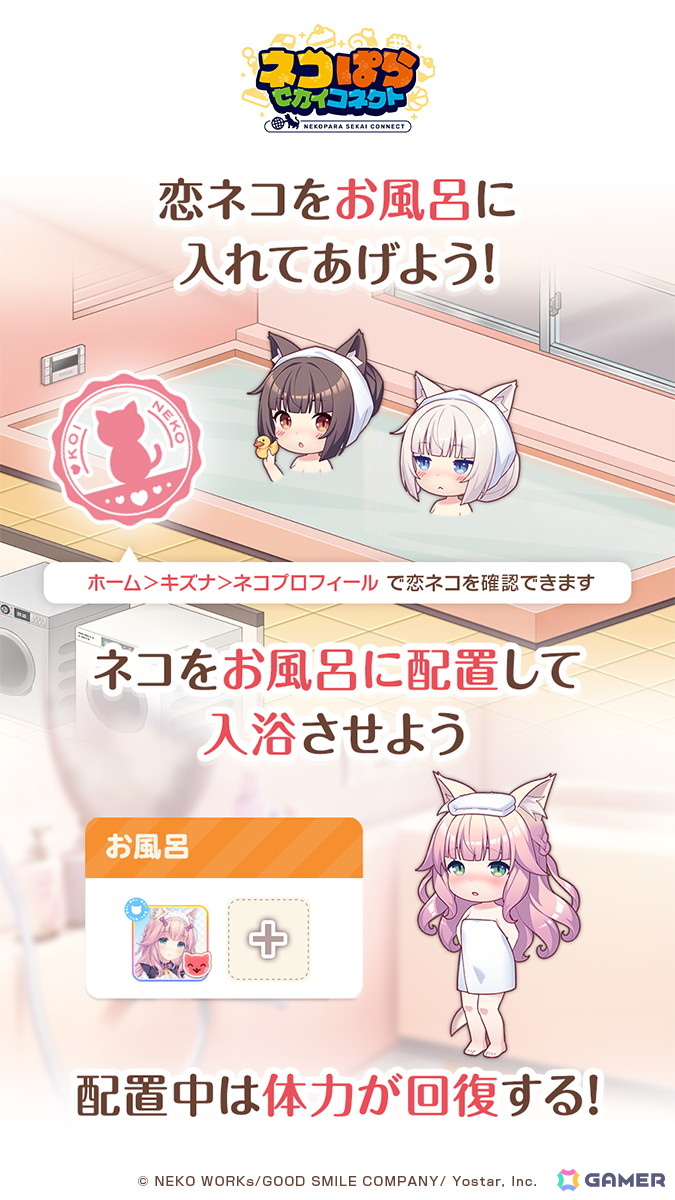「ネコぱら セカイコネクト」10月14日よりハーフアニバーサリーキャンペーンが開催!最大100回分のガチャチケットがプレゼントの画像