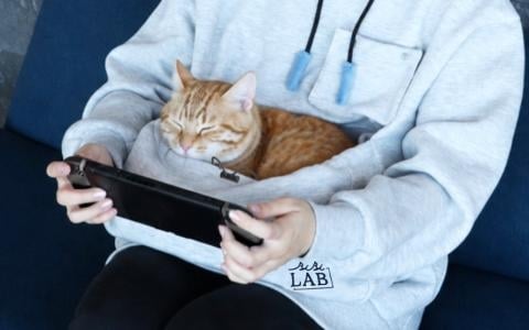 猫をお腹のポケットに入れてゲームができる「にゃんガルーパーカー3」発売！猫じゃらし紐＆撮影用スマホポケットを新搭載