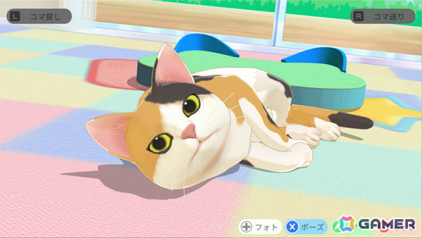 かわいい“にゃん球”を転がして遊ぶ物理パズルゲーム「にゃんにゃん にゃん球」が11月5日に配信！の画像