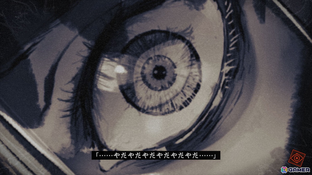 その目をのぞき込むもう一つの目